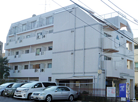 Top Tokumaru