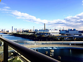THE TOWERS DAIBA EAST 14th Floor